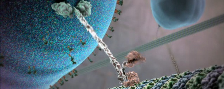 Scientific visualization